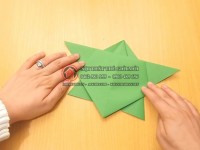 Origami con rùa