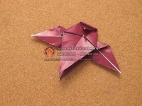 Hướng dẫn cách gấp origami hình chim cú mèo