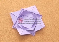 Gấp giấy origami hình bông hoa súng